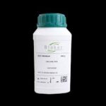 Sabouraud chloramphénicol 500g marque Biokar