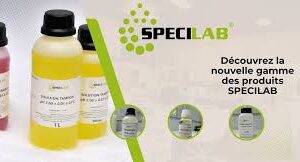 solution tampon pH10